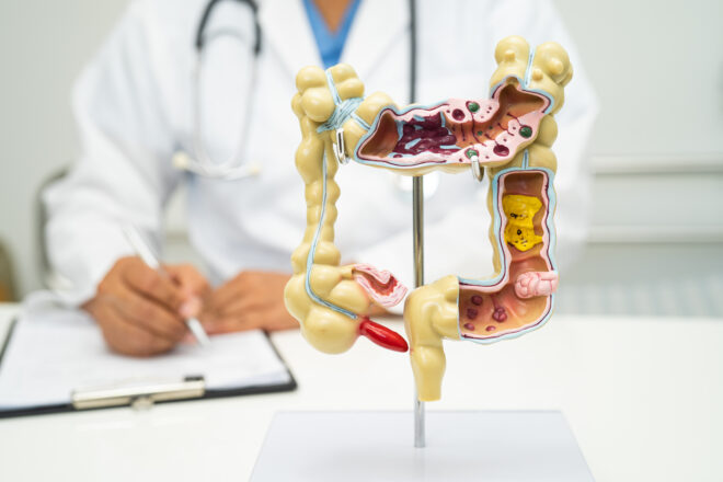 Osteopatia viscerale e sistema muscolo-scheletrico: quando addome, schiena e bacino si influenzano